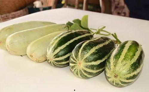 网红吃瓜百度视频大全,百度视频大全大揭秘!