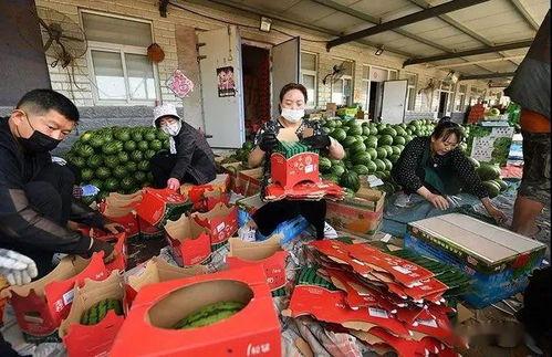 盐城网红吃瓜群众图片,街头热辣瞬间,揭秘网红生活点滴