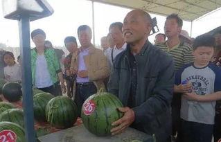 盐城网红吃瓜群众图片,街头热辣瞬间,揭秘网红生活点滴