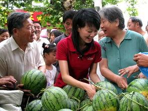盐城网红吃瓜群众图片,街头热辣瞬间,揭秘网红生活点滴