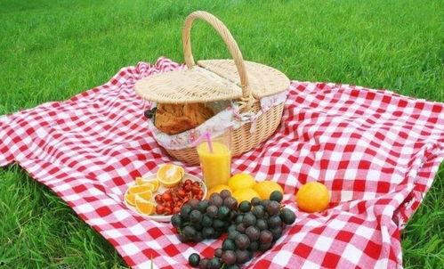 野餐兔网红吃瓜图片,萌态十足引网友热议