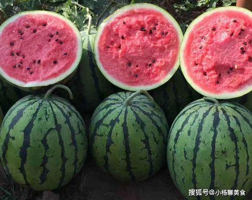 吃瓜网官方网站在线看,揭秘娱乐圈幕后故事