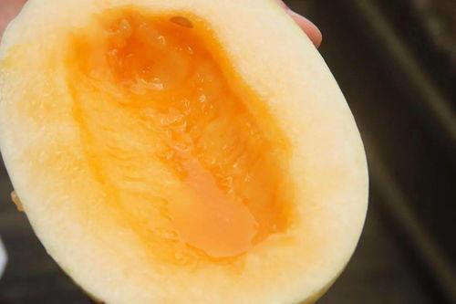 吃瓜爱好者论坛官网,网罗全网热点,畅享轻松娱乐时光