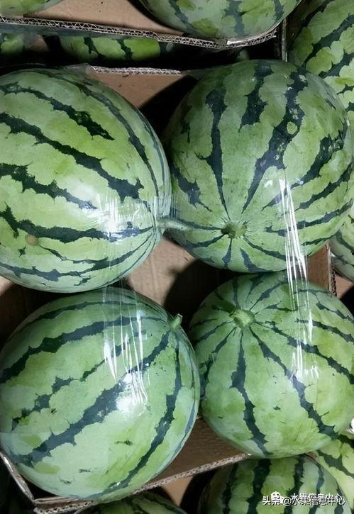 吃瓜官网湖南,探寻吃瓜官网推荐的特色佳肴