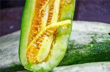 网红凡凡的吃瓜