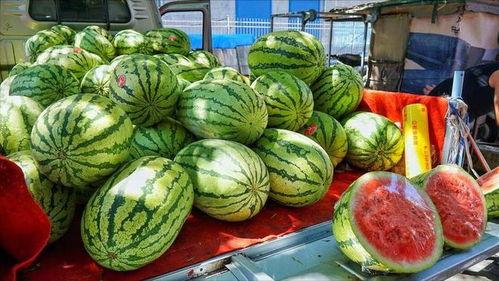 靖江小网红吃瓜事件真相,揭秘背后真相与网络舆论风暴