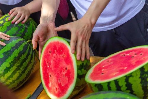 学院吃瓜和网红吃瓜