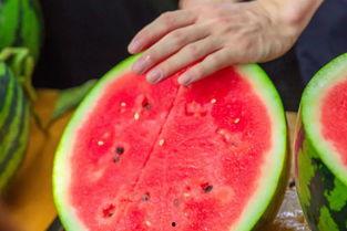 学院吃瓜和网红吃瓜