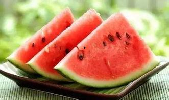 北体网课吃瓜,揭秘网课中的“吃瓜”事件